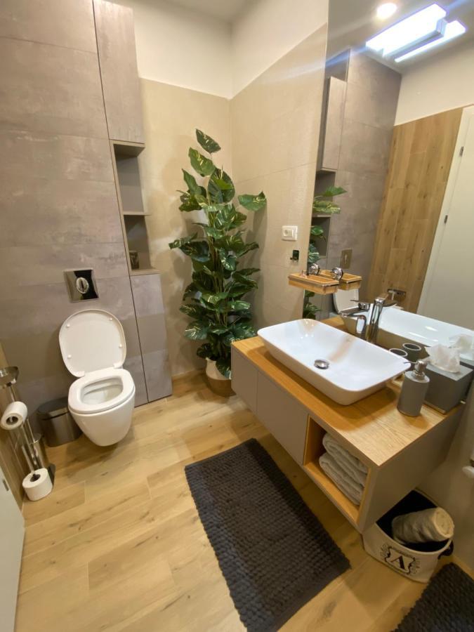 אפרטהוטל בראשוב Art'Penthouse מראה חיצוני תמונה